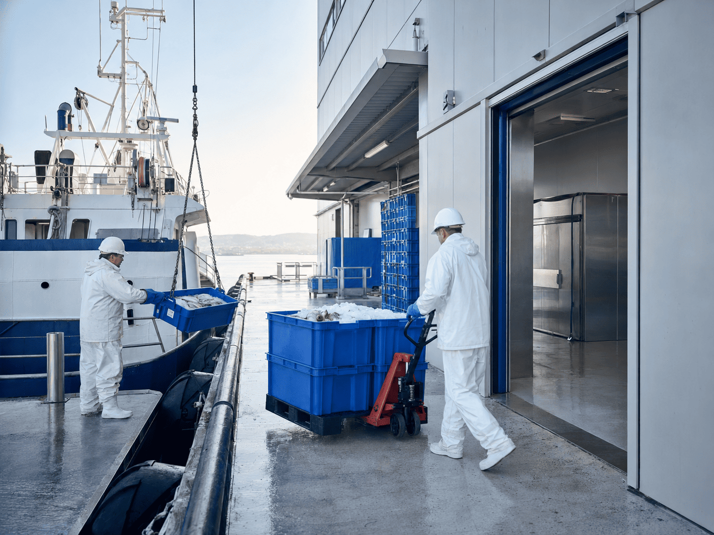 Shrimp and seafood maintained on ice